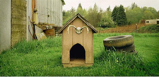 经典电影《银翼杀手》改编桌面RPG公布 2022年发售